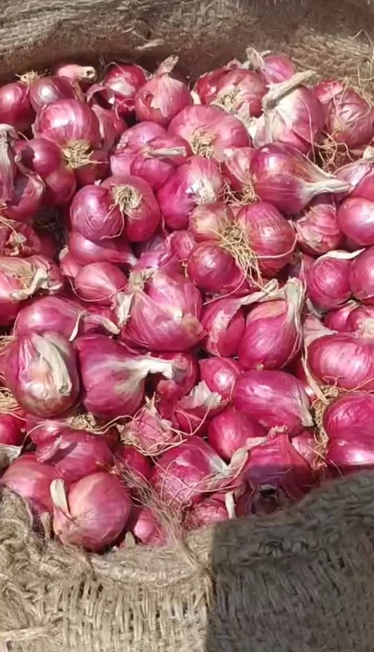 Pink Indian small onions in a woven sack