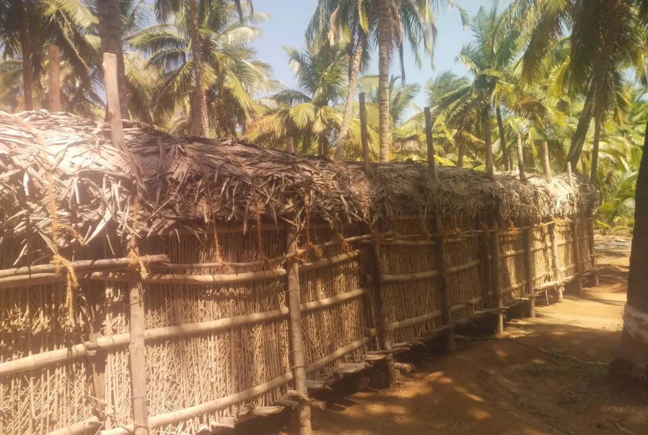 Close view of the ventilated bamboo and thatch onion stock structure